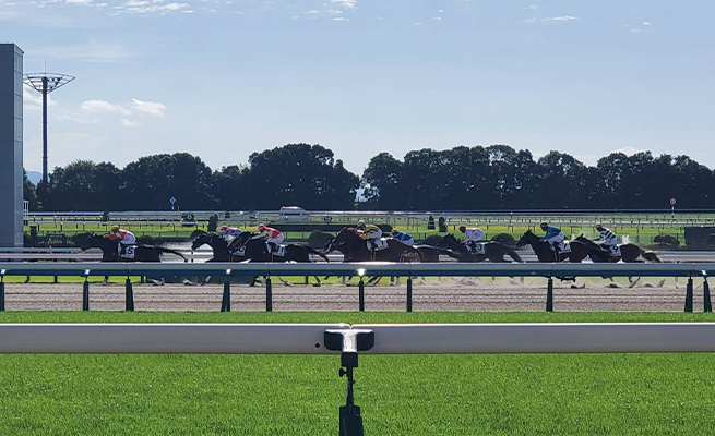 京都競馬場